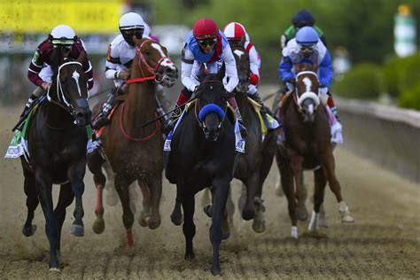 Horse Racing Terms for Beginners .